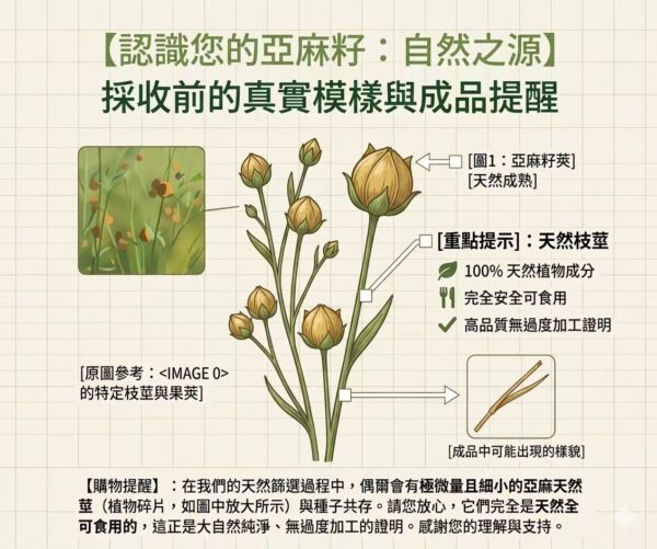 stem explan 有機整粒亞麻籽BB Date 30/12/27